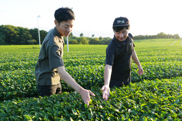 東京・丸の内で“日本一”の味を体感　長崎そのぎ茶コレクション2026を1月24日・25日に初開催