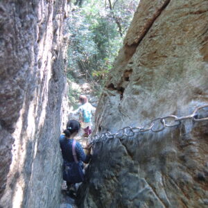 篠栗町・若杉山 1200年の祈りが息づく霊峰の価値を再発信 都市近郊の山岳リトリート