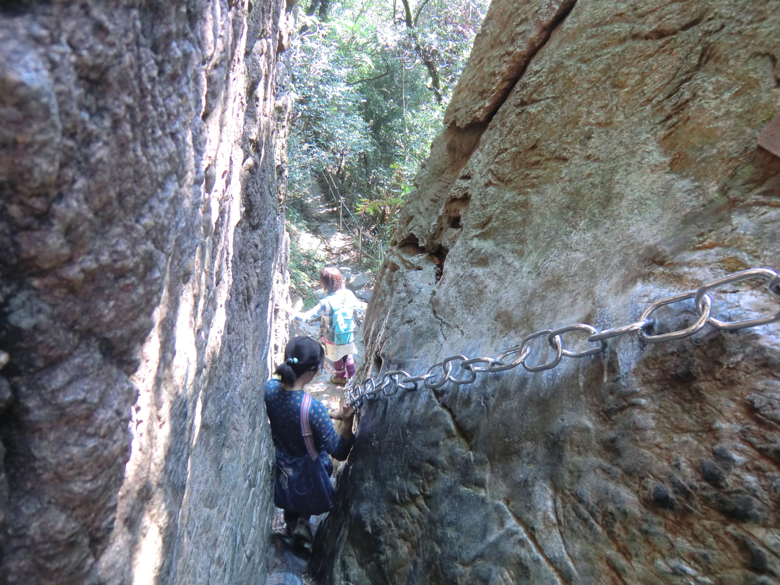 篠栗町・若杉山 1200年の祈りが息づく霊峰の価値を再発信 都市近郊の山岳リトリート