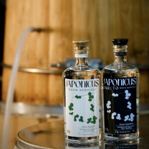 鹿児島｜大石酒造が分裂酵母ラム『HAL Distillery』発売、熊本大学と産学連携 2026年2月