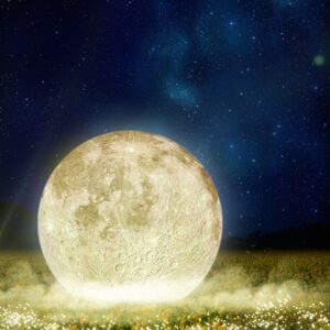 長崎鼻「菜の花ライトアップ」