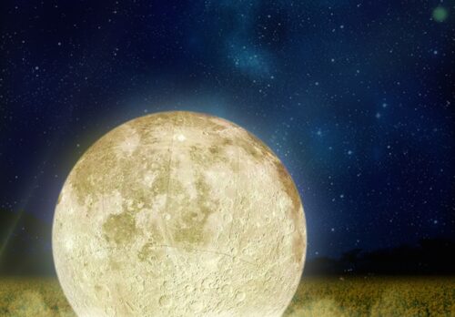 長崎鼻「菜の花ライトアップ」