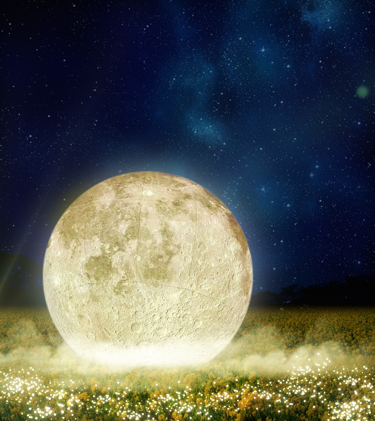 長崎鼻「菜の花ライトアップ」