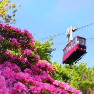 長崎｜ミヤマキリシマ彩る雲仙で過ごす至福の滞在 ミシュラン1キー旅亭半水盧の春旅 2026年4月～6月
