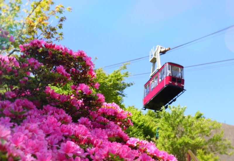長崎｜ミヤマキリシマ彩る雲仙で過ごす至福の滞在 ミシュラン1キー旅亭半水盧の春旅 2026年4月～6月
