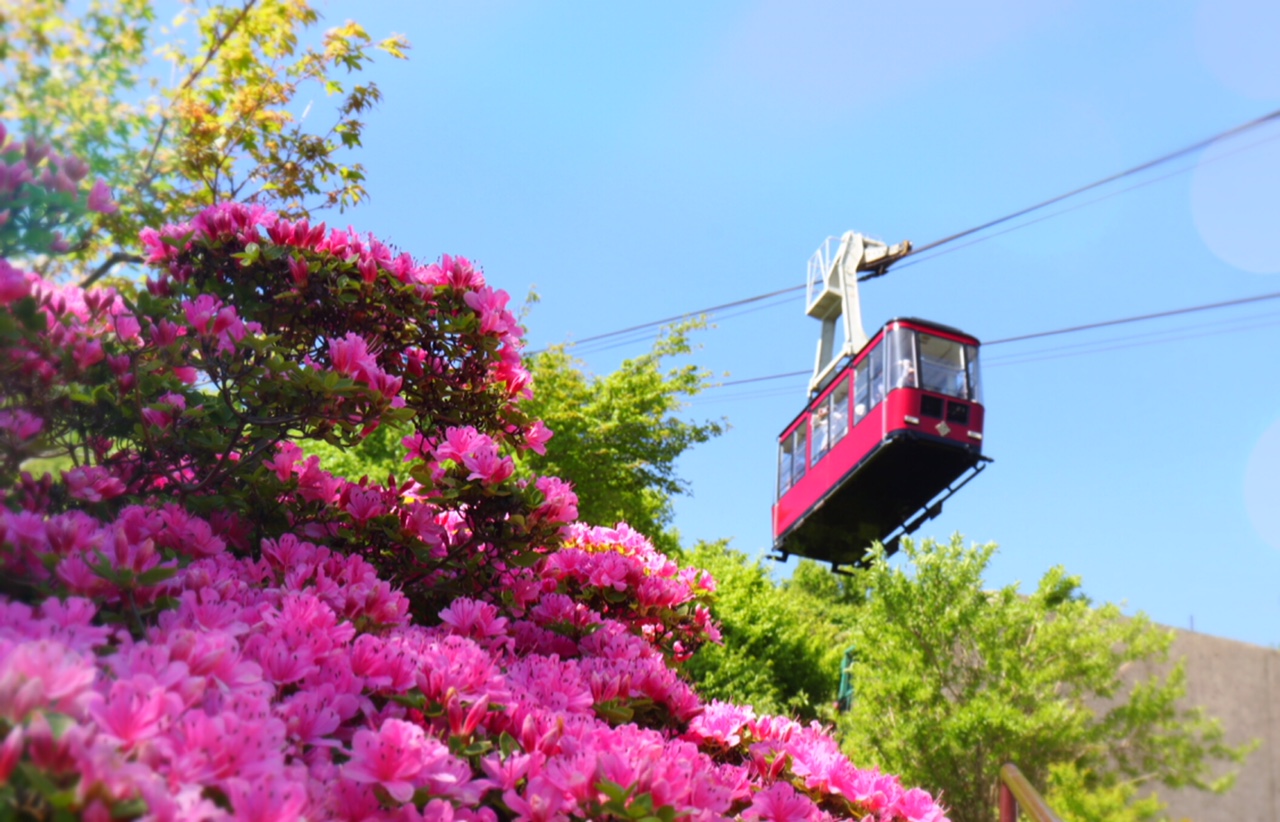 長崎｜ミヤマキリシマ彩る雲仙で過ごす至福の滞在 ミシュラン1キー旅亭半水盧の春旅 2026年4月～6月