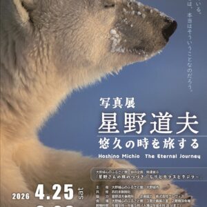 福岡・大野城｜写真展 星野道夫 悠久の時を旅する 2026年4月25日～6月28日開催
