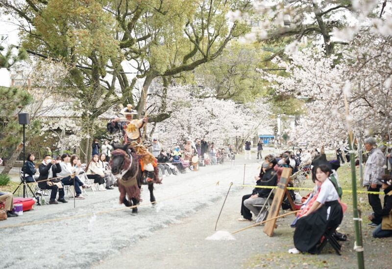午年 三柱神社「柳川 流鏑馬」2026年3月29日斎行 小笠原流宗家奉納