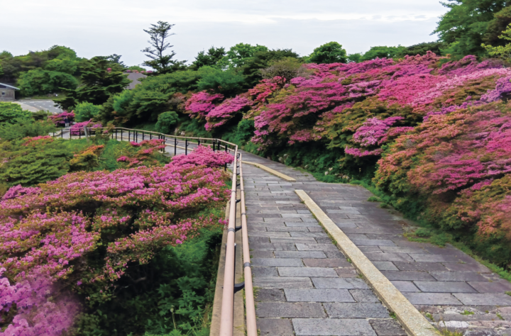 長崎｜ミヤマキリシマ彩る雲仙で過ごす至福の滞在 ミシュラン1キー旅亭半水盧の春旅 2026年4月～6月