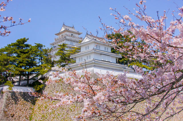 長崎｜ミヤマキリシマ彩る雲仙で過ごす至福の滞在 ミシュラン1キー旅亭半水盧の春旅 2026年4月～6月