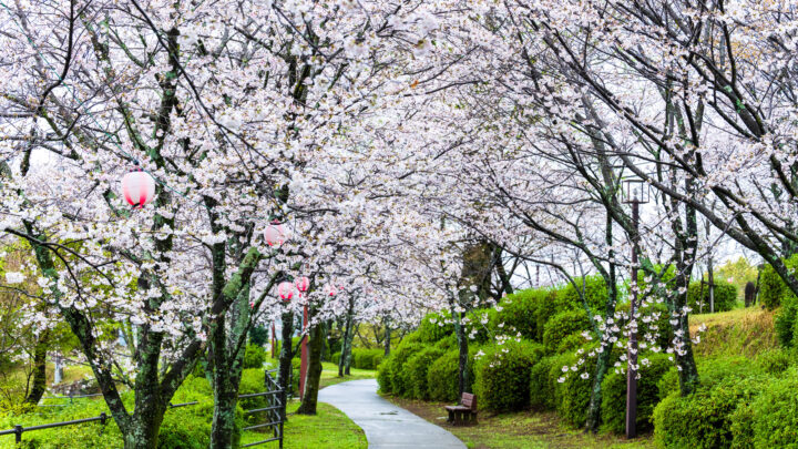 熊本・菊水公園