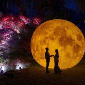 福岡｜糸島の夜を彩る浮嶽幸花樹園つつじライトアップ初開催 2026年4月19日～5月6日