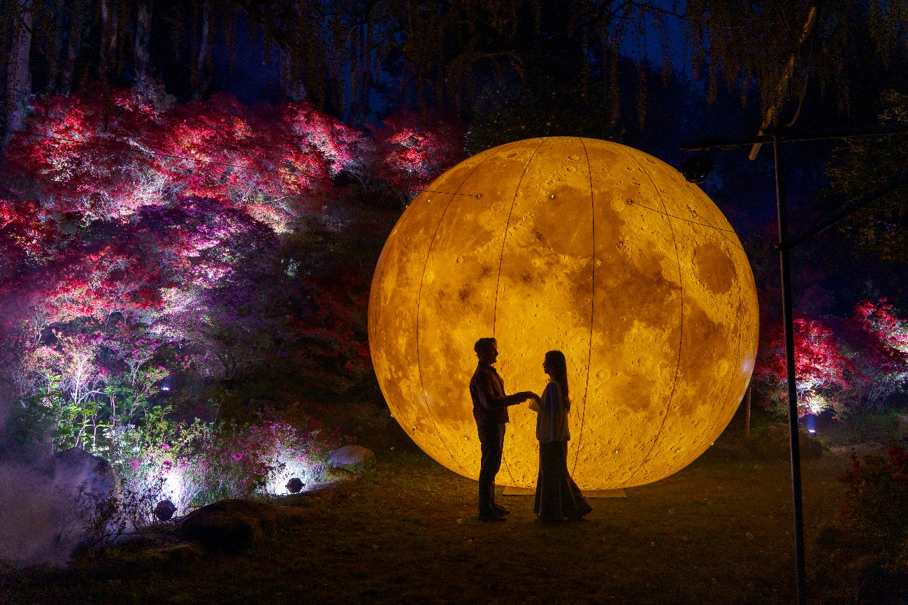 福岡｜糸島の夜を彩る浮嶽幸花樹園つつじライトアップ初開催 2026年4月19日～5月6日