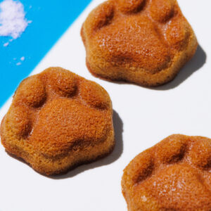 福岡｜博多駅「KOKUNEKO」夏限定『コクウマソルティフィナンシェ』発売　雪塩香る肉球型スイーツ 2026年5月1日登場