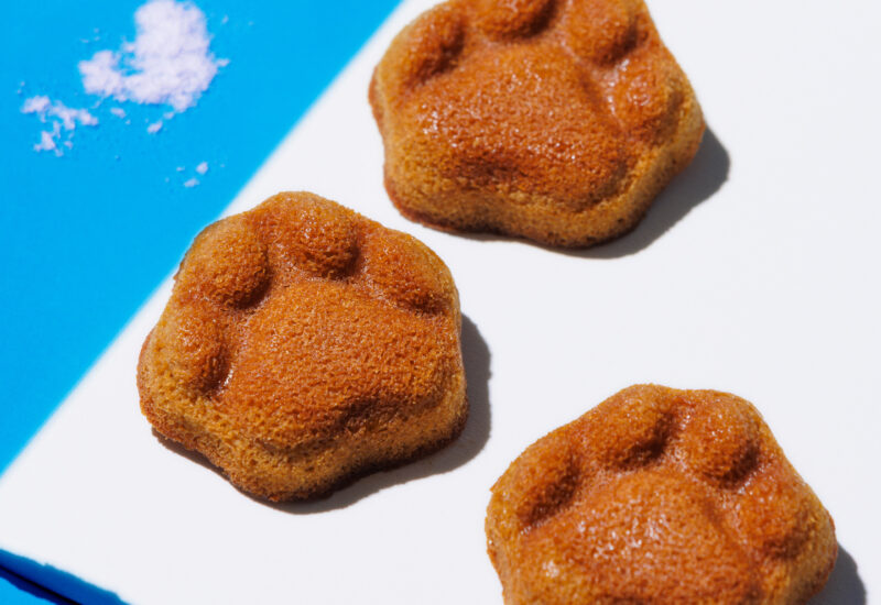 福岡｜博多駅「KOKUNEKO」夏限定『コクウマソルティフィナンシェ』発売　雪塩香る肉球型スイーツ 2026年5月1日登場