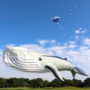 福岡｜うみなか凧揚げフェスティバル 巨大クジラカイトが舞う春イベント 2026年4月11日・12日開催