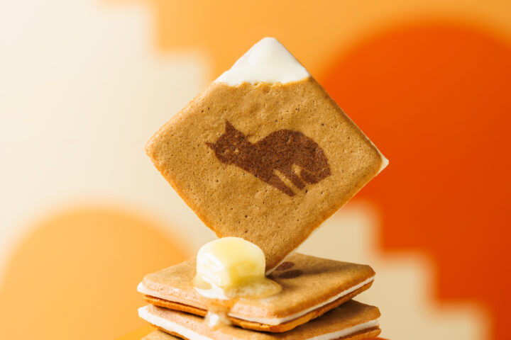 福岡｜博多駅「KOKUNEKO」夏限定『コクウマソルティフィナンシェ』発売　雪塩香る肉球型スイーツ 2026年5月1日登場