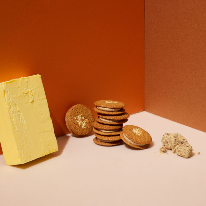 福岡｜博多駅「KOKUNEKO」夏限定『コクウマソルティフィナンシェ』発売　雪塩香る肉球型スイーツ 2026年5月1日登場