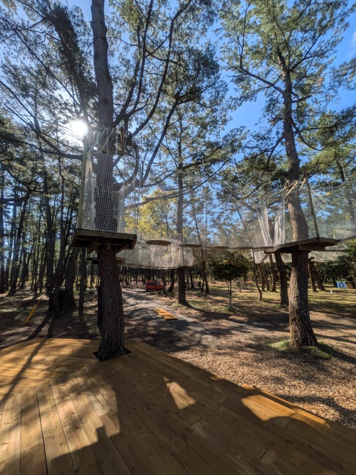 鹿児島｜樹上ネットで遊ぶ新体験！フォレストアドベンチャー吹上浜に新コースが