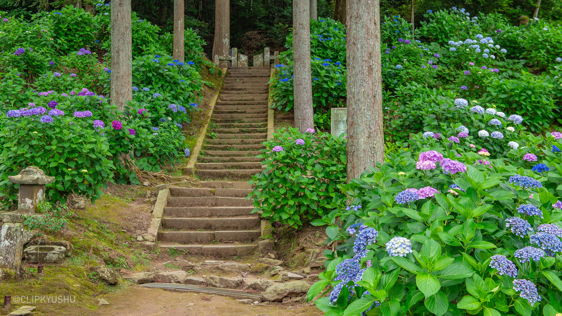 Senkoji Temple