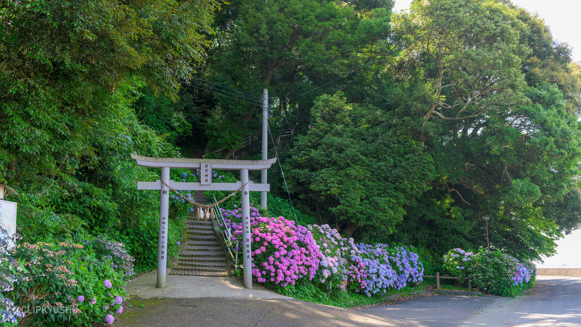 Sumiyoshi Natural Park