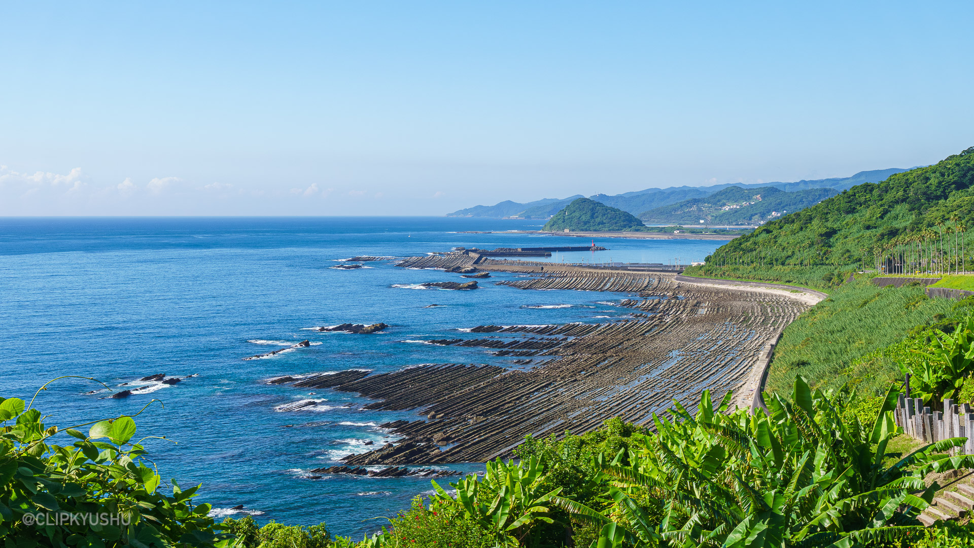 Nichinan Phoenix Road (Miyazaki City, Miyazaki Prefecture)