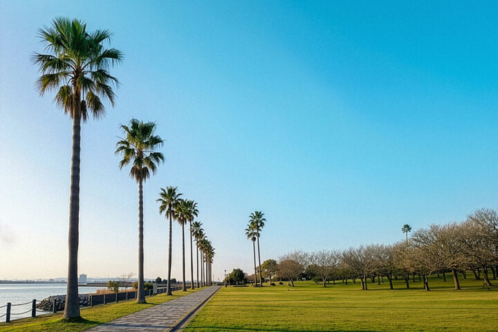 長崎｜大村湾を望む新音楽フェス「OMURA BAY BEAT 2026」初開催！海・空・音楽が融合する滞在型イベントが誕生 2026年11月14日