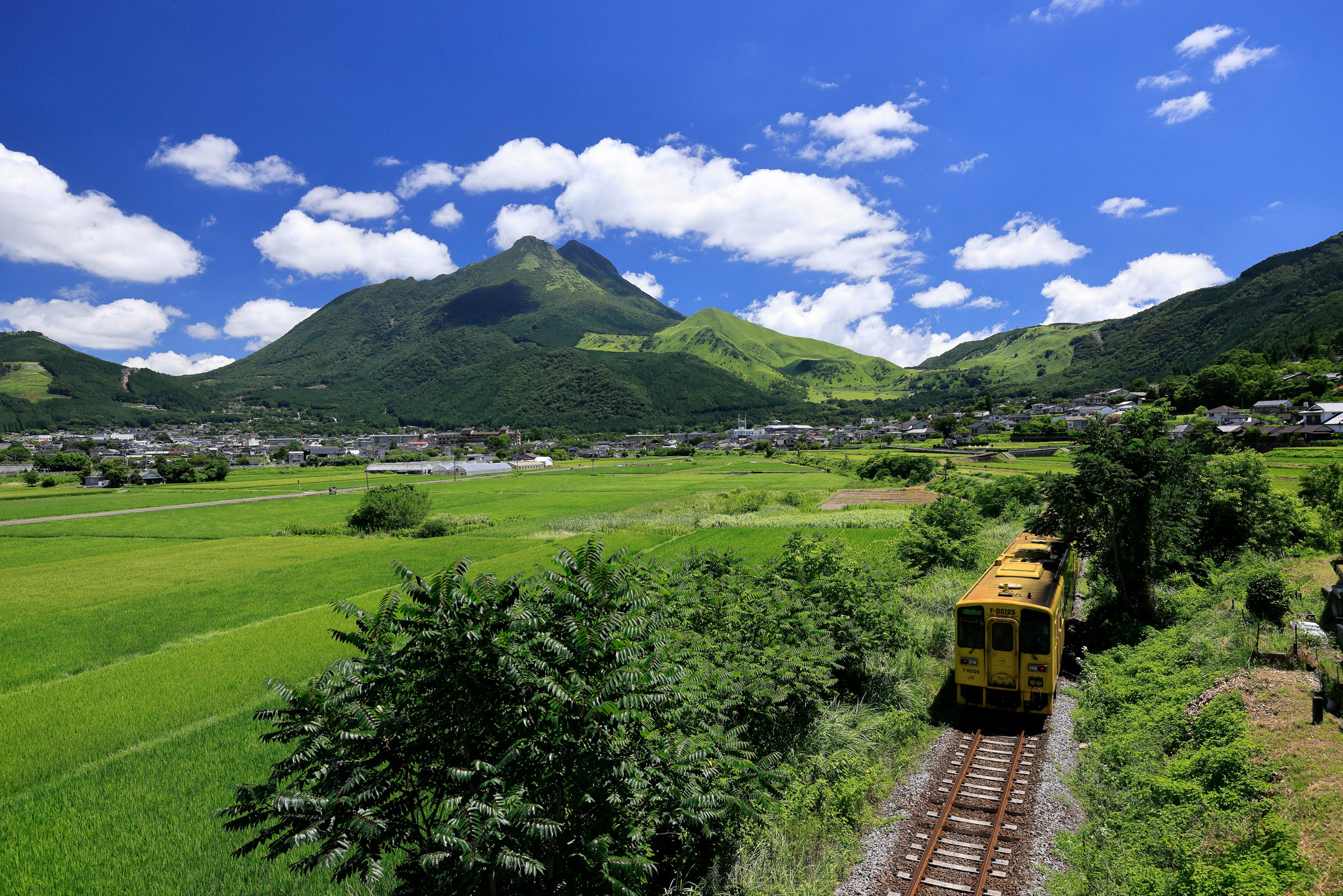 夏の由布岳