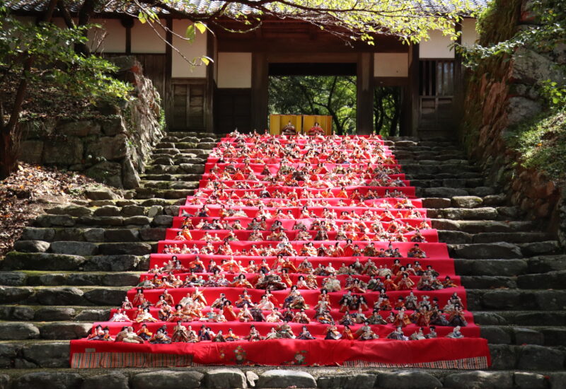 福岡・朝倉｜約600体のひな人形が秋月を彩る「後の雛」を9月9日に開催