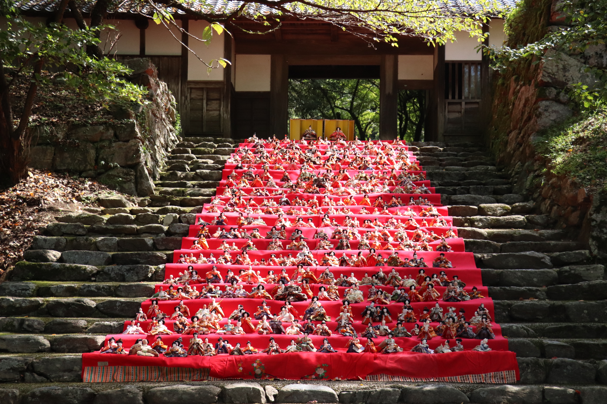 福岡・朝倉｜約600体のひな人形が秋月を彩る「後の雛」を9月9日に開催